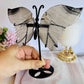 Stunning 15cm Agate Carved Butterfly Wings On Stand