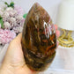 Large Petrified Wood Freeform 13cm 720g