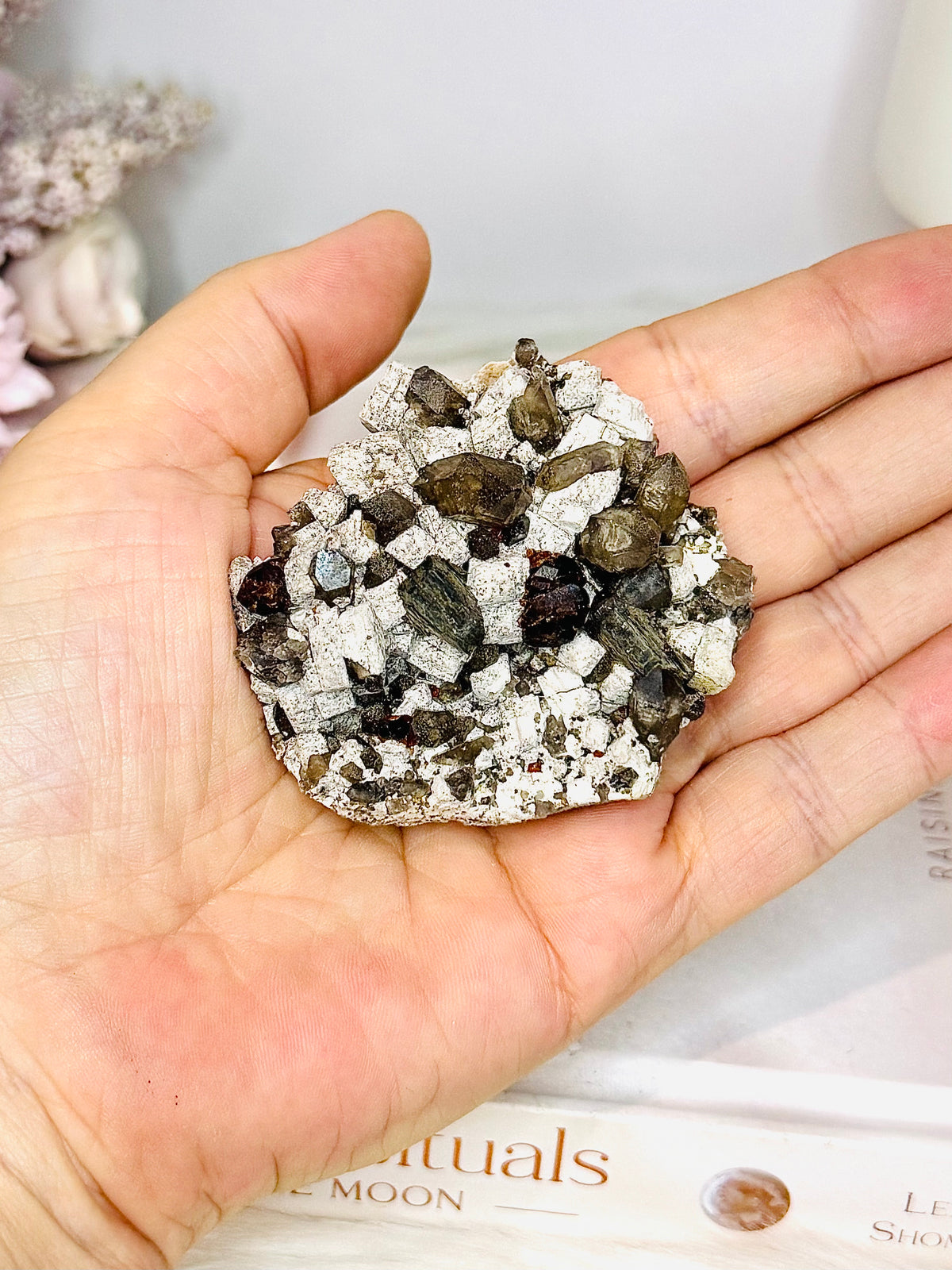 Smokey Quartz & Garnet on Matrix Specimen 6cm On Stand