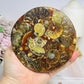 Natural Ammonite Fossil Shell Plate on Stand 12.5cm
