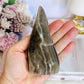 Natural Banded Agate Freeform 12cm