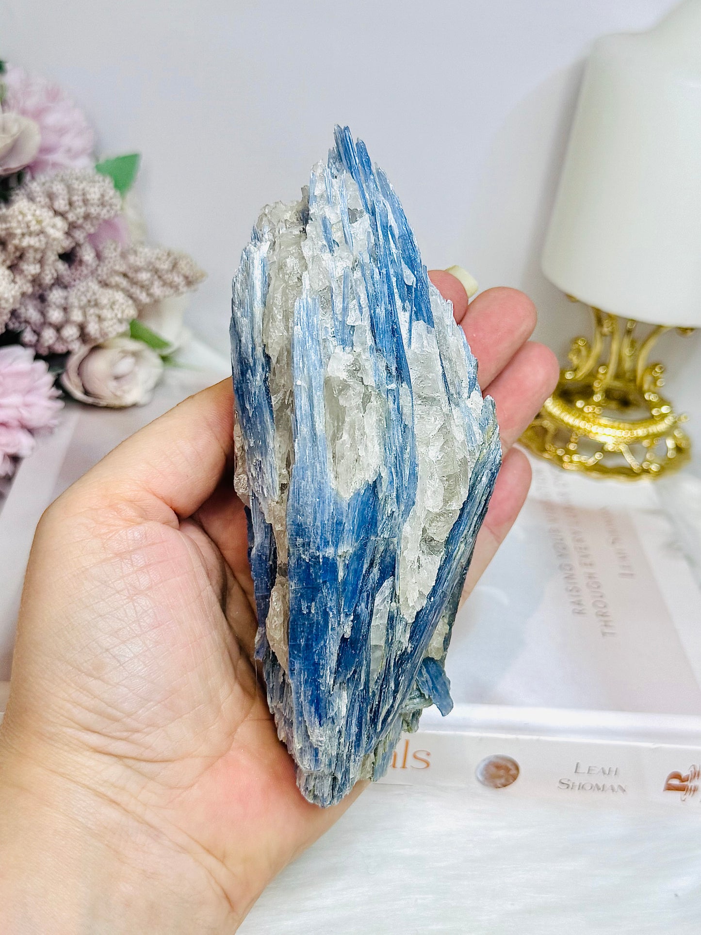 Large Blue Kyanite Freeform 459g 14cm