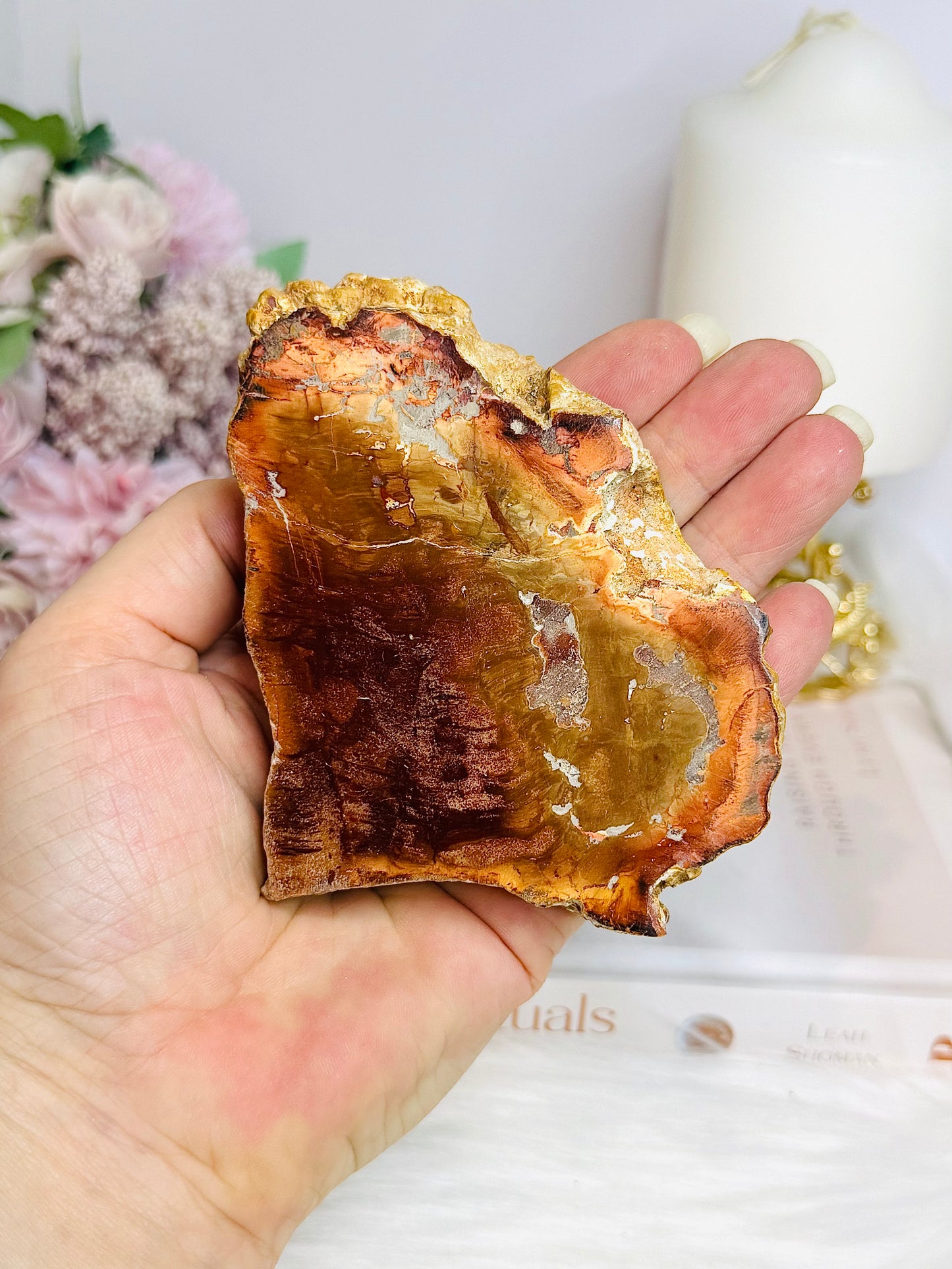 Natural Petrified Wood Slab 10cm 240g