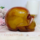 Huge Carnelian Carved Druzy Skull 2.15KG