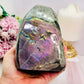 WOW!!!!!! Classy & Absolutely Fabulous Large 14.5cm 1.43KG Labradorite Polished Freeform with Stunning Purple Flash Truly Gorgeous