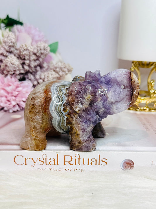 Amethyst X Mexican Lace Agate Elephant 10cm 351g
