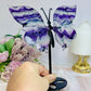 Fluorite Butterfly Wings With Rainbows 19cm