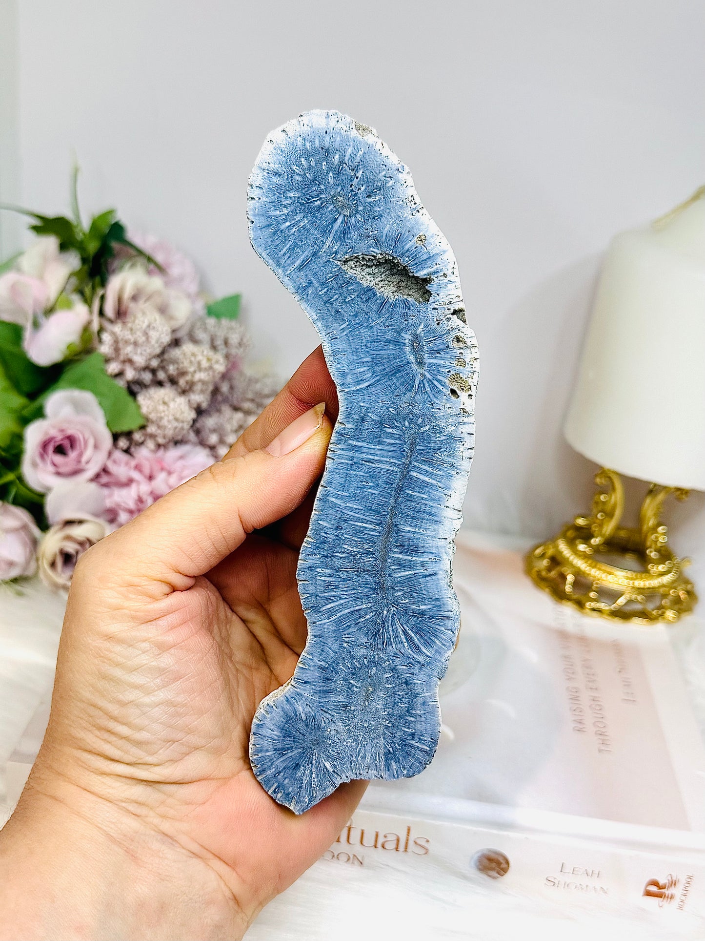 Blue Coral Fossil Specimen 16cm