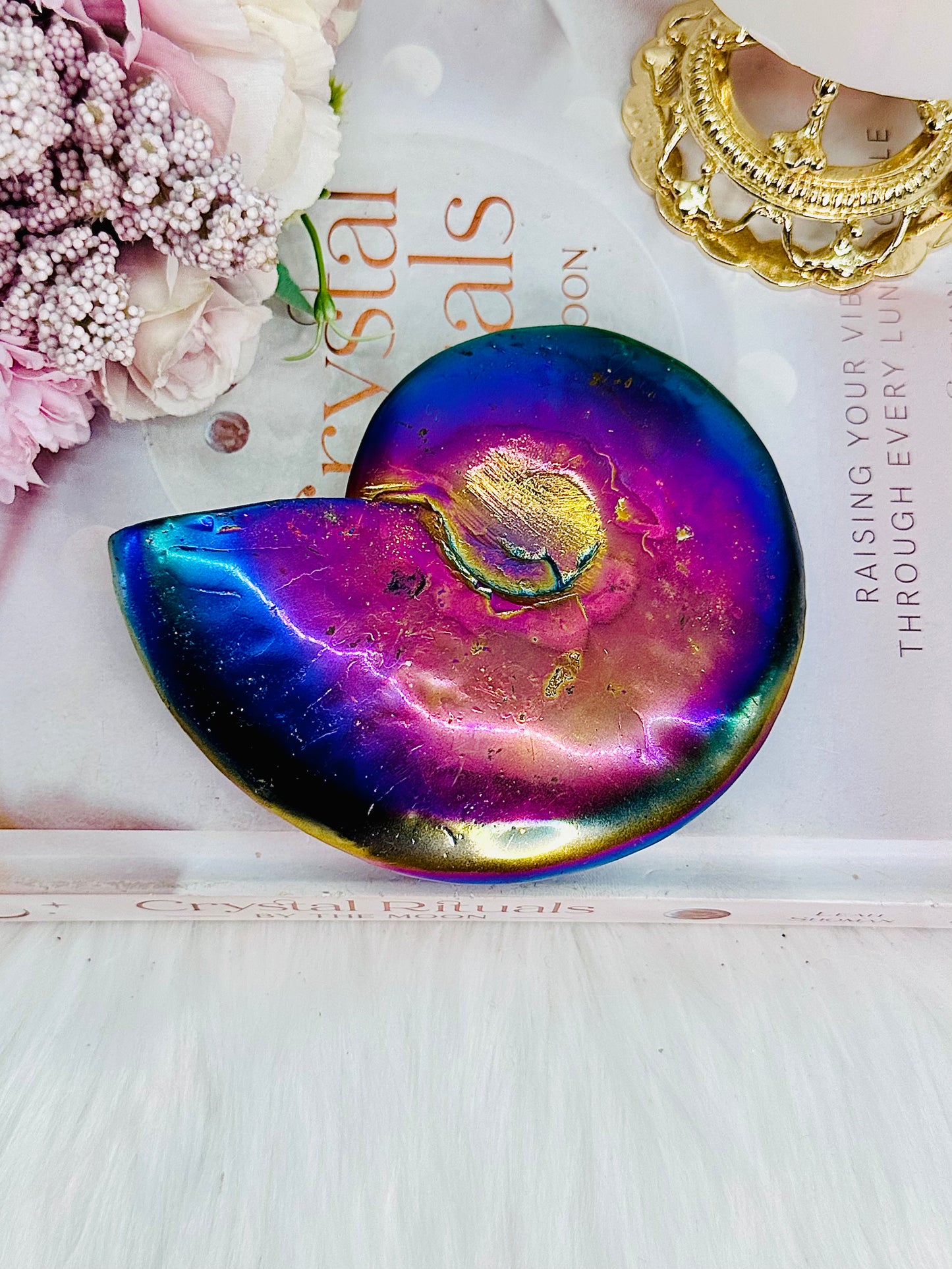 Stunning Bright Aura Ammonite Shell 11cm