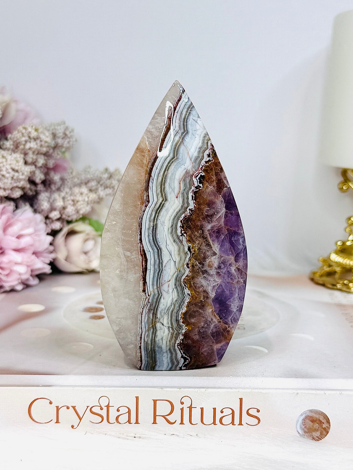 Crazy Lace Amethyst Flame 10cm