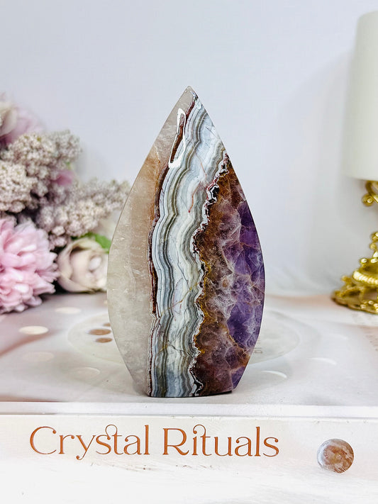 Crazy Lace Amethyst Flame 10cm