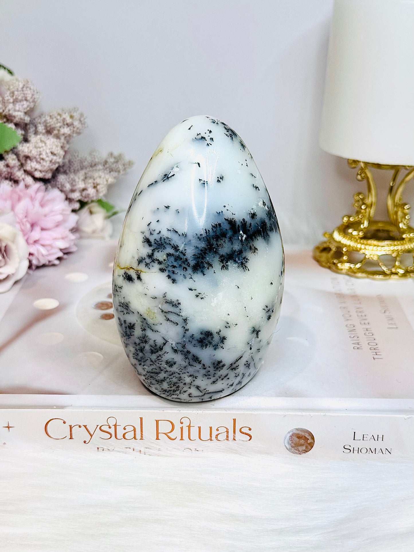 Dentrictic Opal Natural Freeform 10.5cm 487g