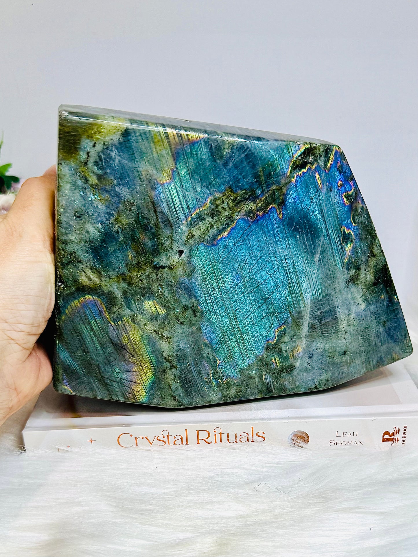 Large Labradorite Freeform Full of Flash 18cm 1.6KG