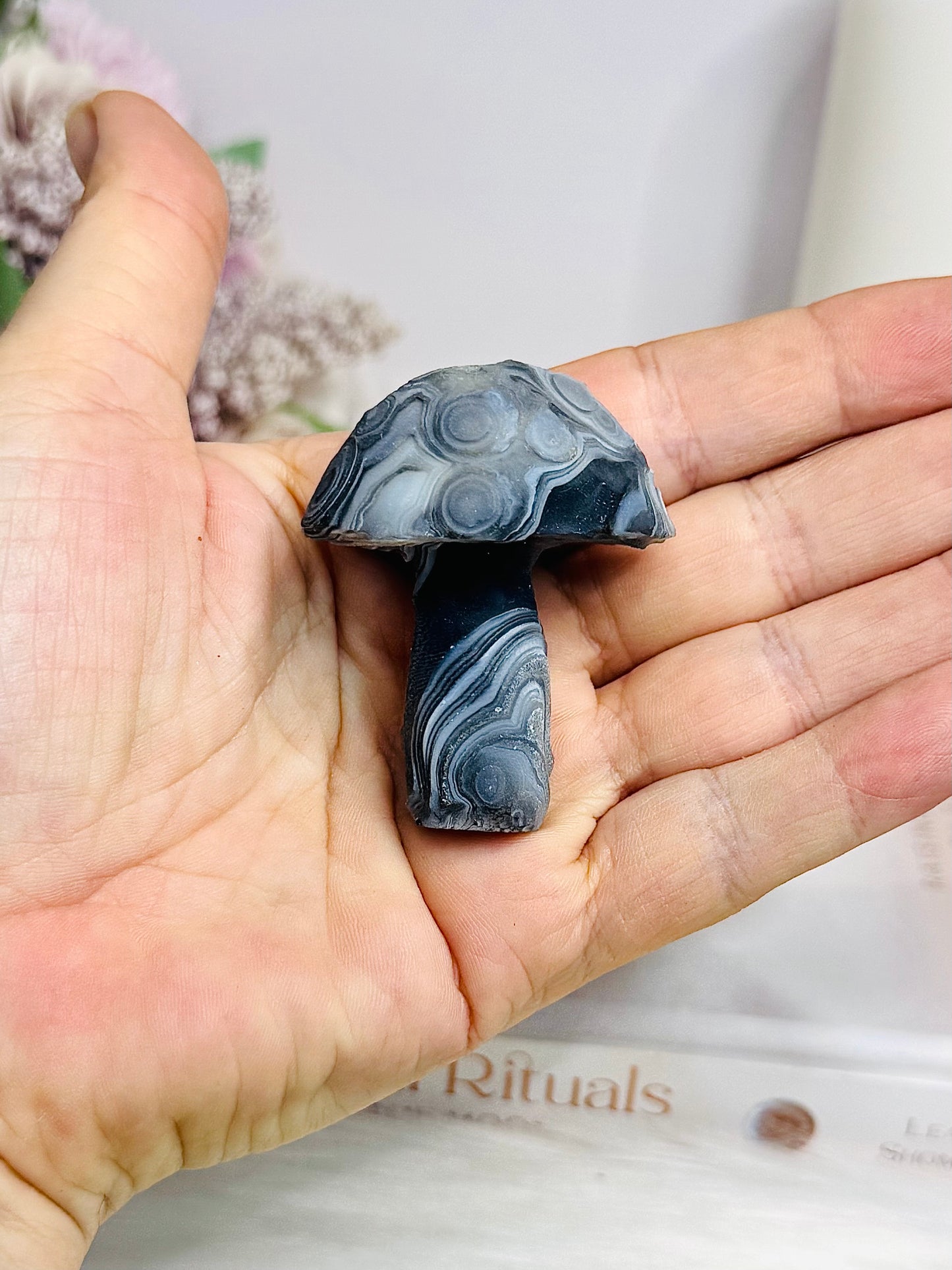 Rare Gobi Agate Carved Mushroom 5cm