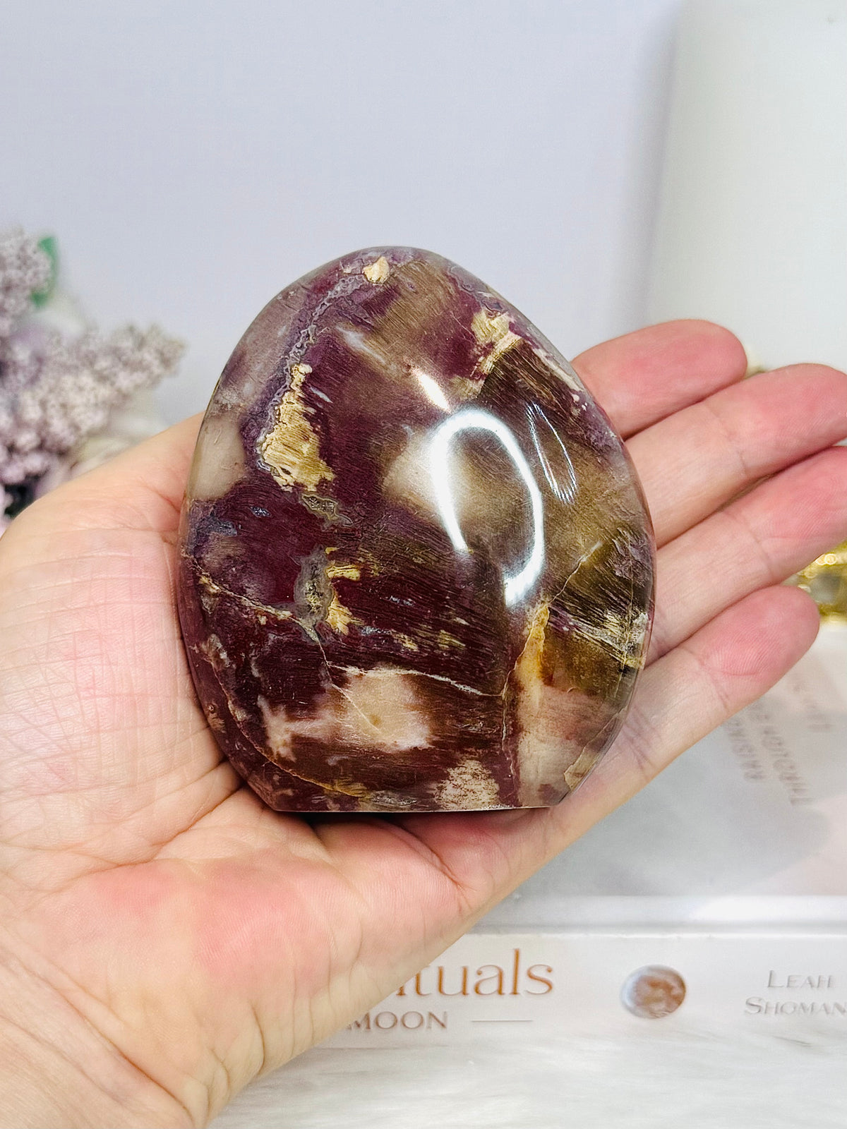 Petrified Wood Chunky Freeform 379g