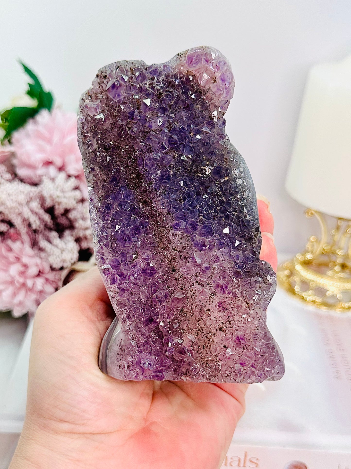 Stunning Perfectly Carved Druzy Agate Amethyst Koala 12cm 397grams With Full Amethyst Cluster At Back