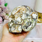Large Money Agate Druzy Skull 751g