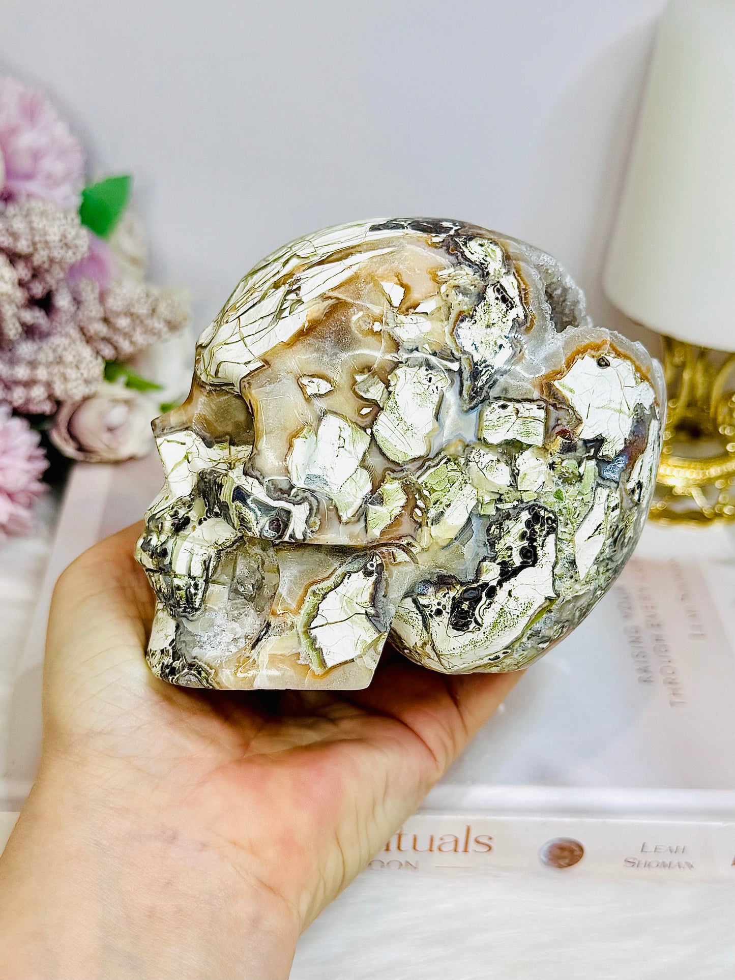 Large Money Agate Druzy Skull 751g