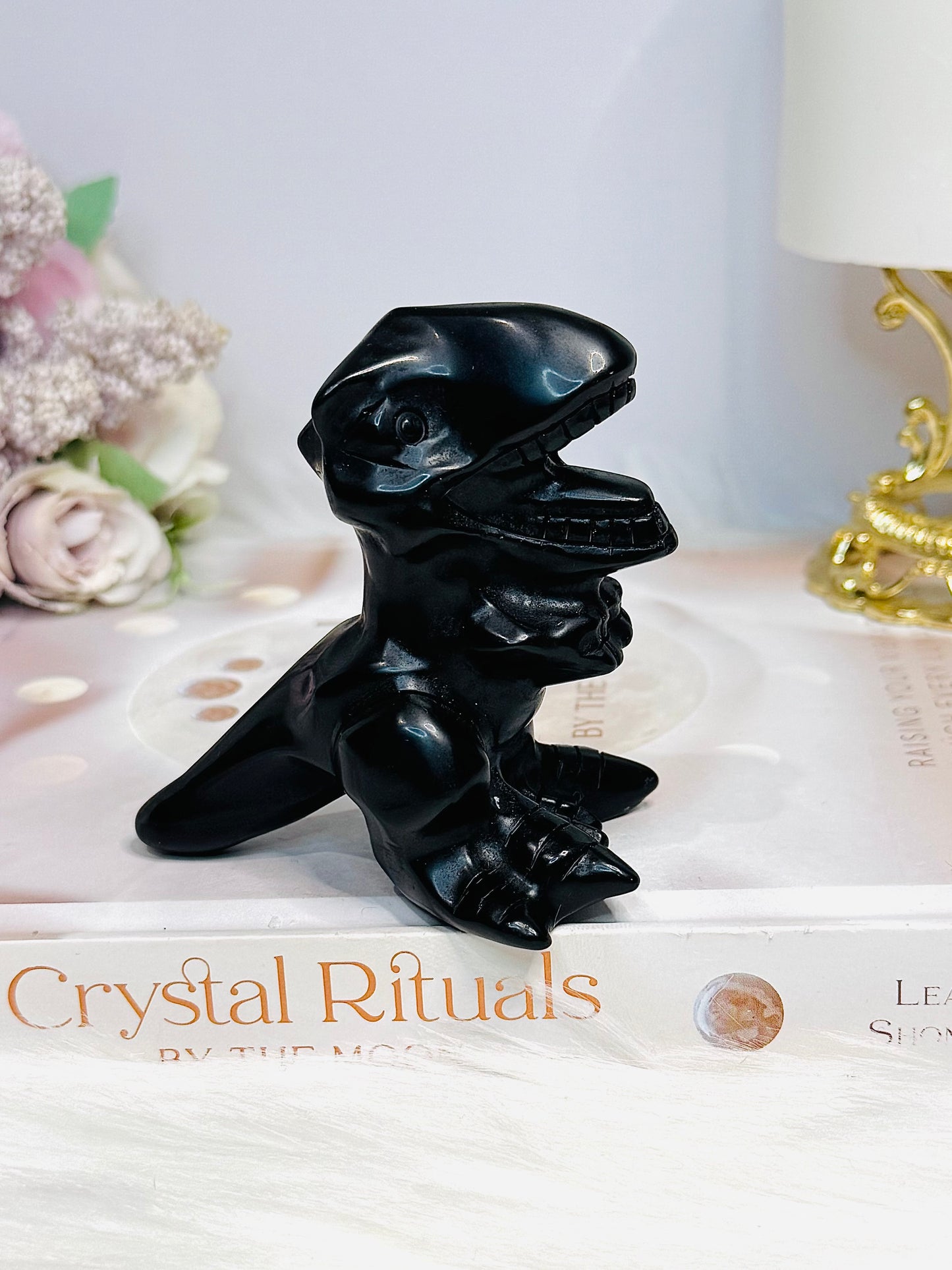 Black Obsidian Dinosaur 8cm