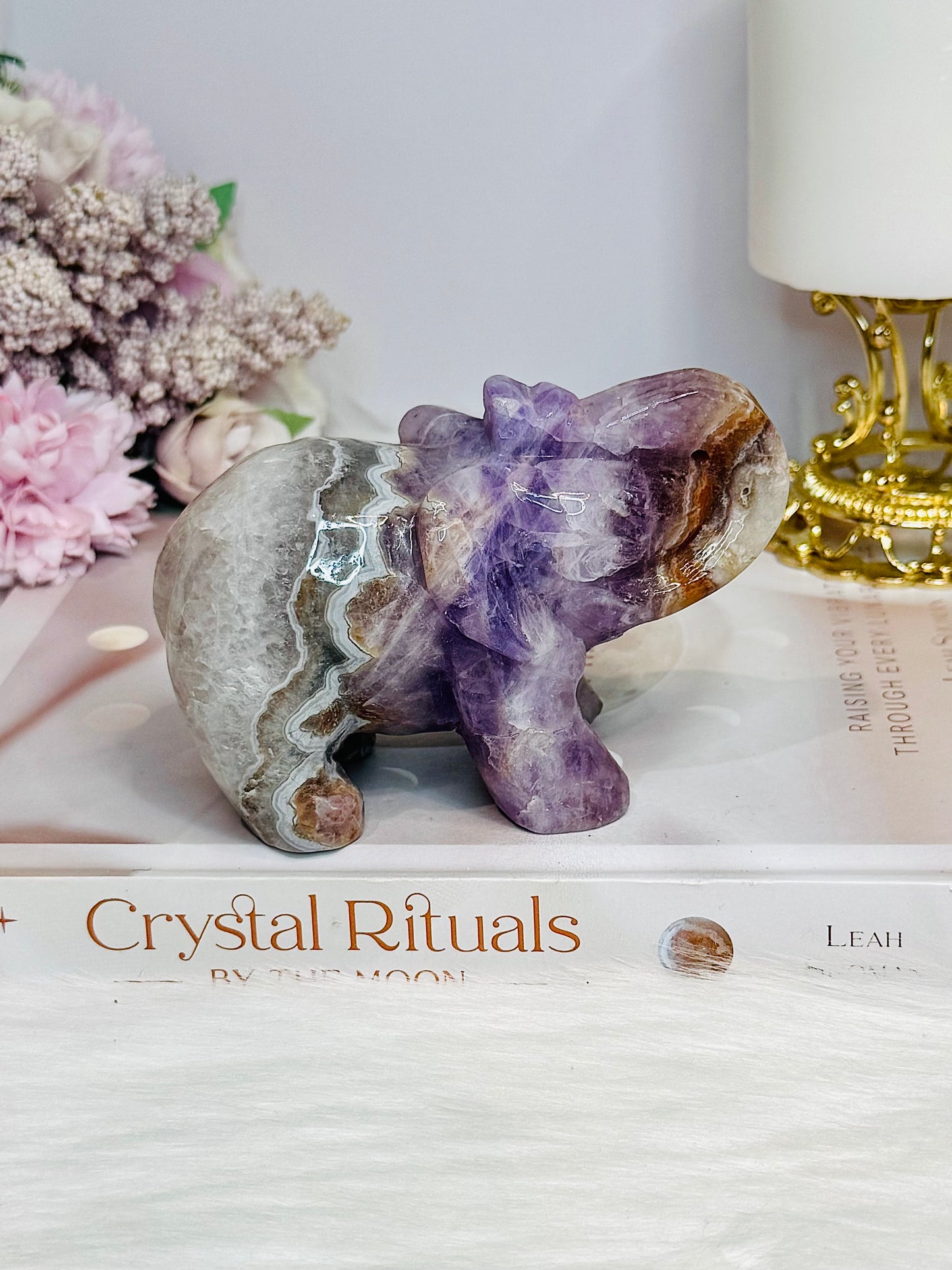 Amethyst X Mexican Lace Agate Elephant 11cm