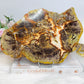 Large Agate Creek Thunder Egg Slab on Stand 25cm