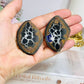 Septarian Nodule Pair Set