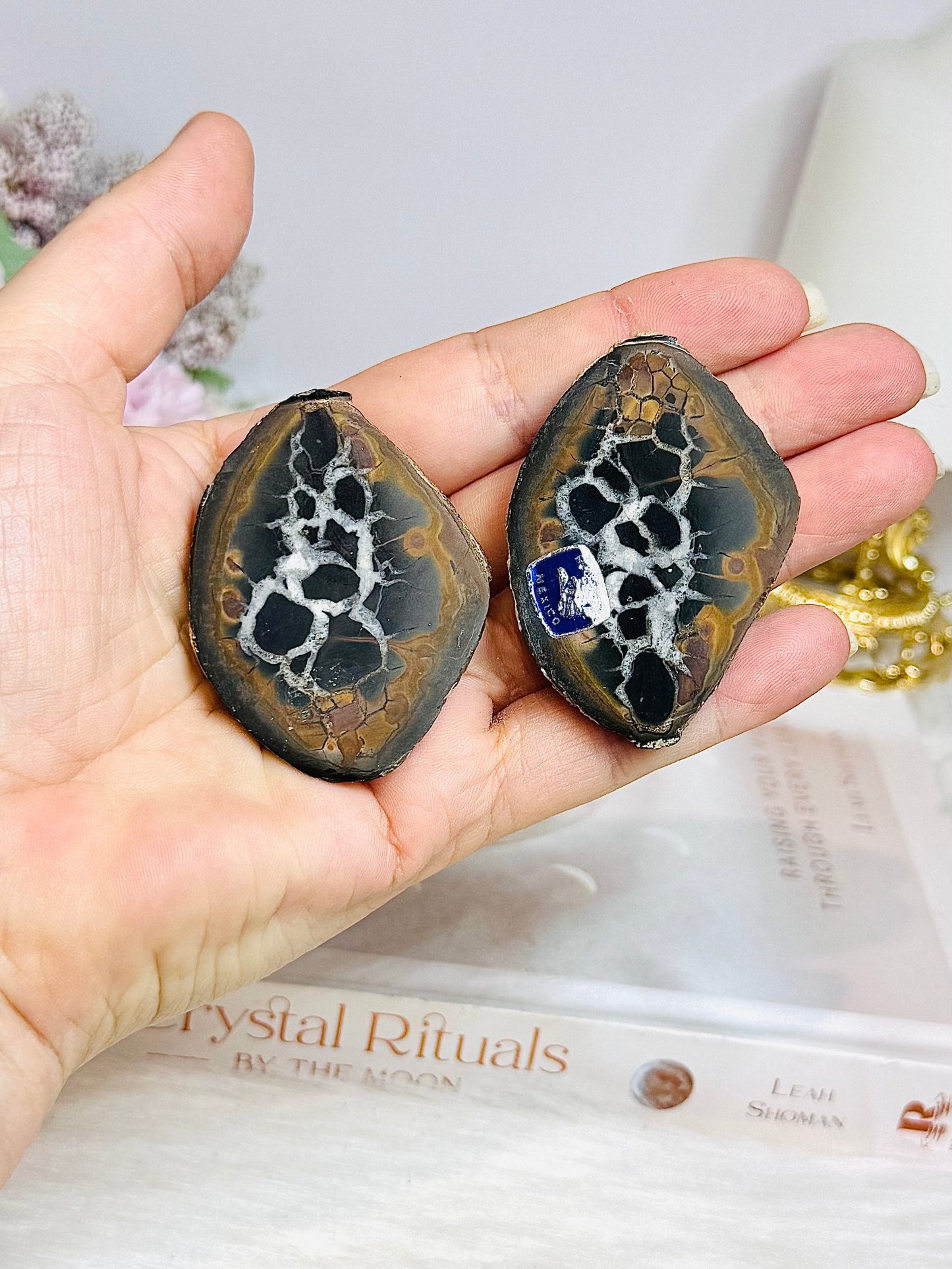 Septarian Nodule Pair Set