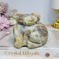 Moonstone Koala Bear with Blue Flash 473g