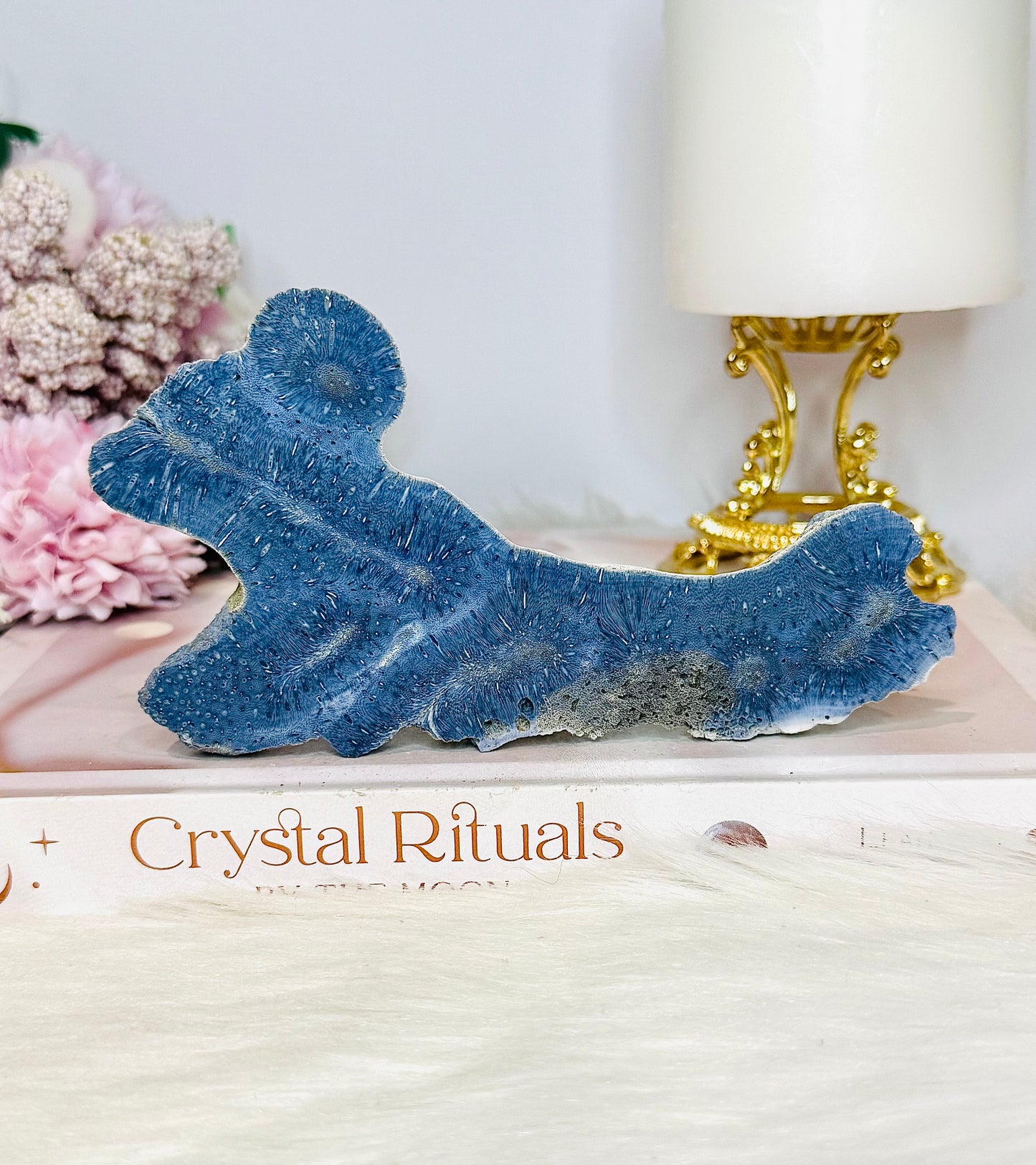 Blue Coral Fossil Natural Specimen 13.5cm