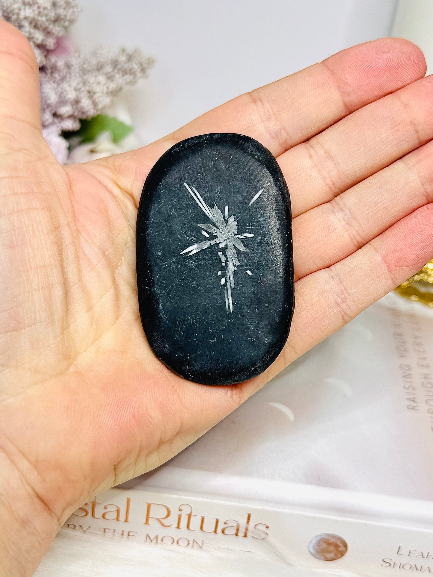 Natural Chrysanthemum Palm Stone (Dent in stone)