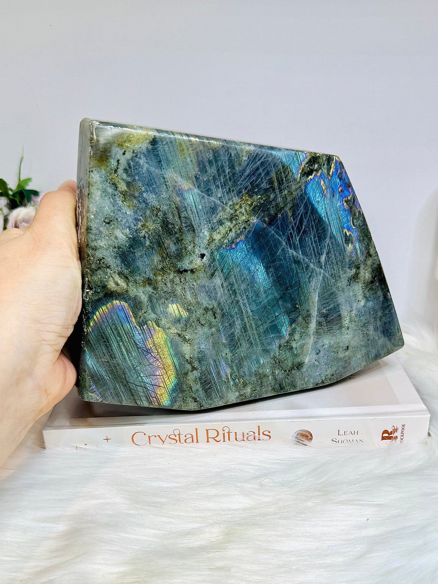 Large Labradorite Freeform Full of Flash 18cm 1.6KG