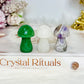 Set of 3 Mushrooms ~ Green Aventurine, Clear Quartz & Chevron Amethyst