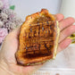 Natural Petrified Wood Slab 217g