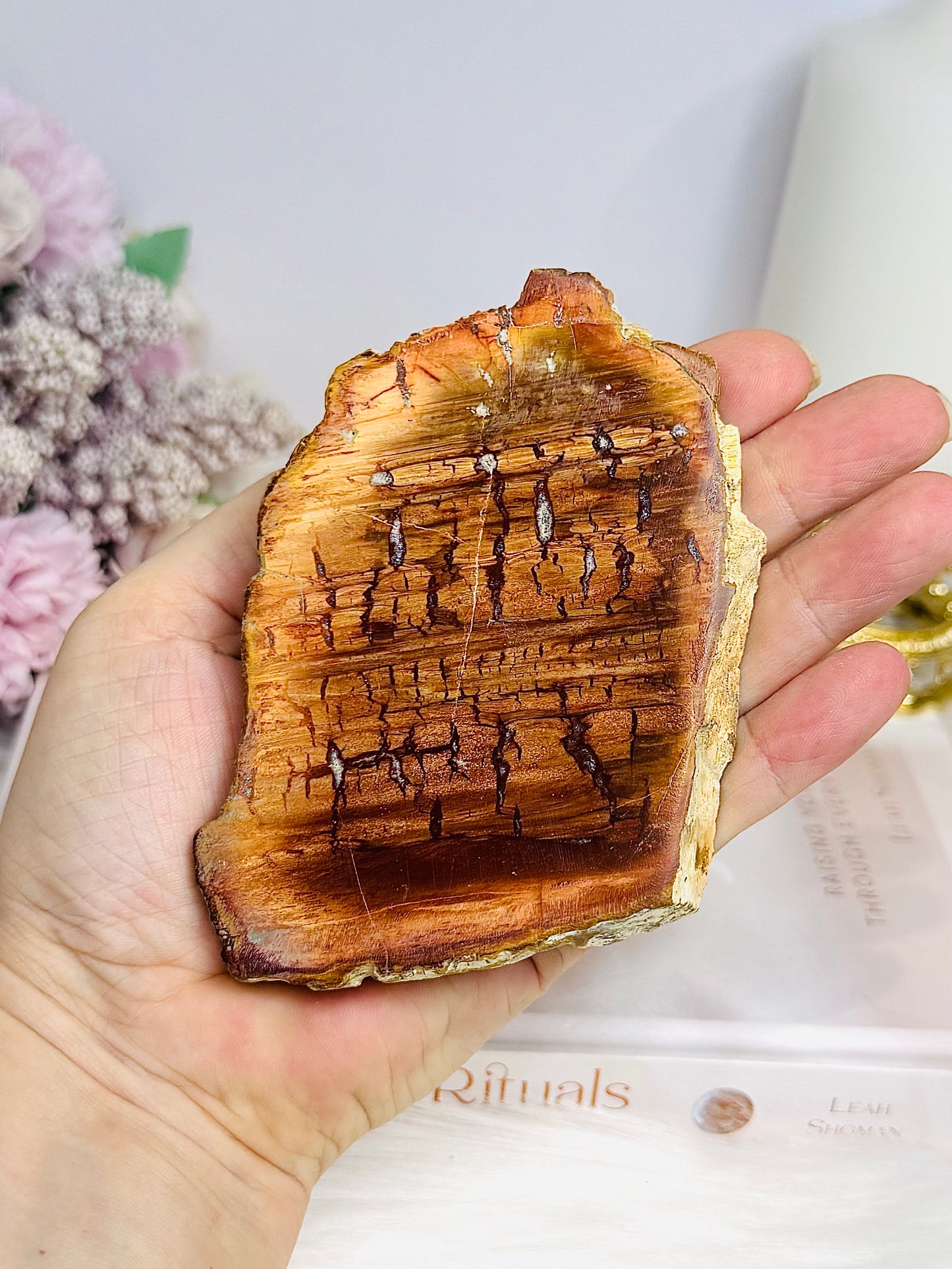 Natural Petrified Wood Slab 217g