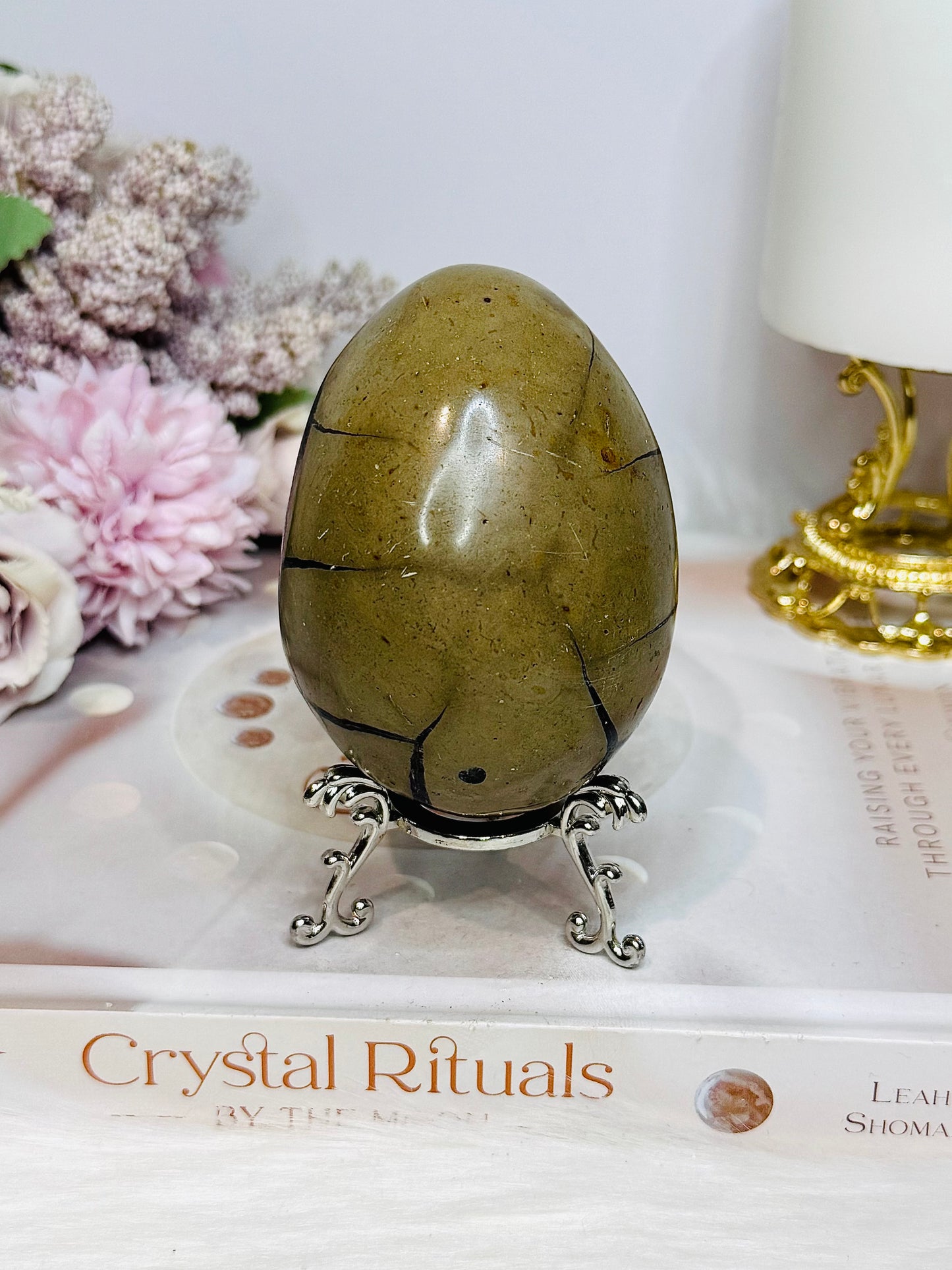 Druzy Septarian Egg on Stand 344g