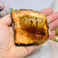 Natural Petrified Wood Slab 7.5cm 145g