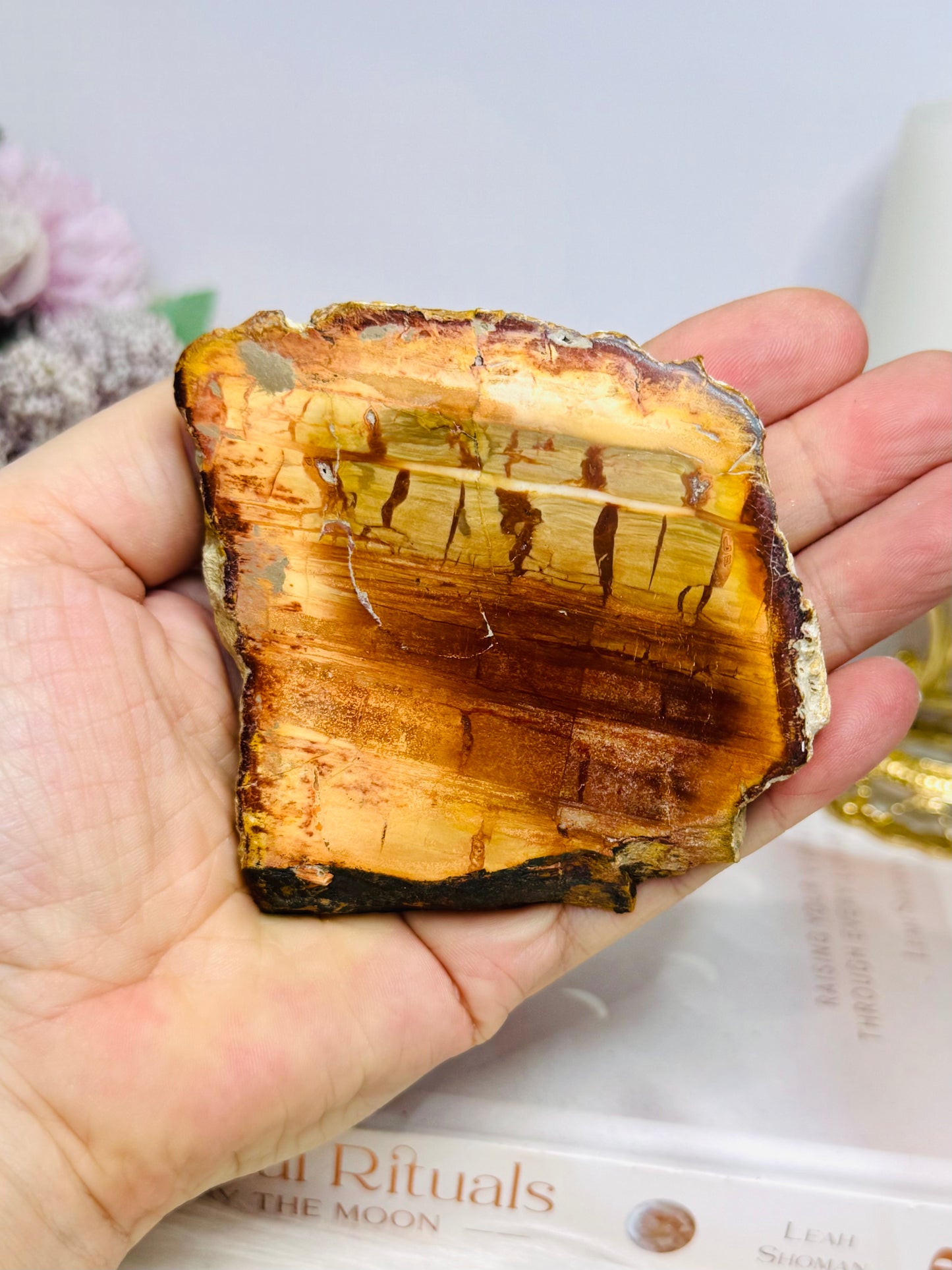 Natural Petrified Wood Slab 7.5cm 145g