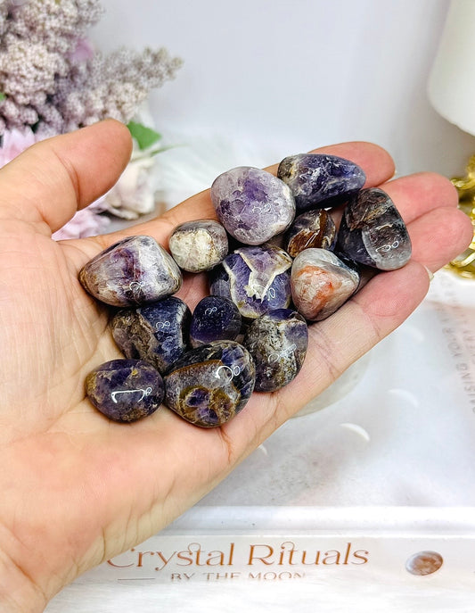 Chevron | Dream Amethyst Tumbles $3 each