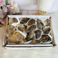 Smokey Quartz Crystal Set 673grams