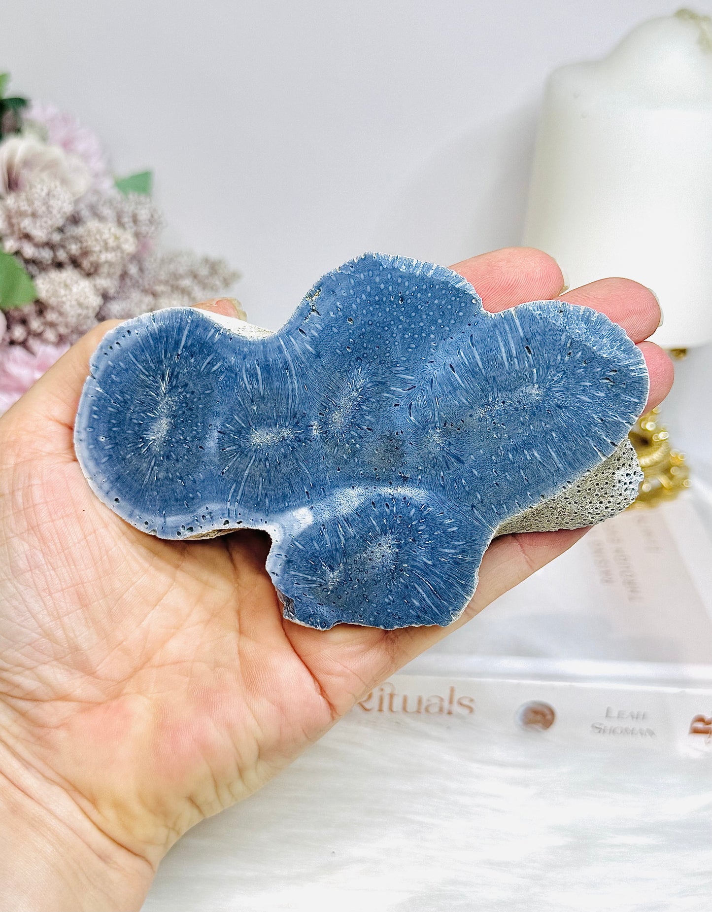 Blue Coral Fossil Specimen Slab on Stand 11.5cm