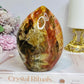 Large Petrified Wood Freeform 11.5cm 710g