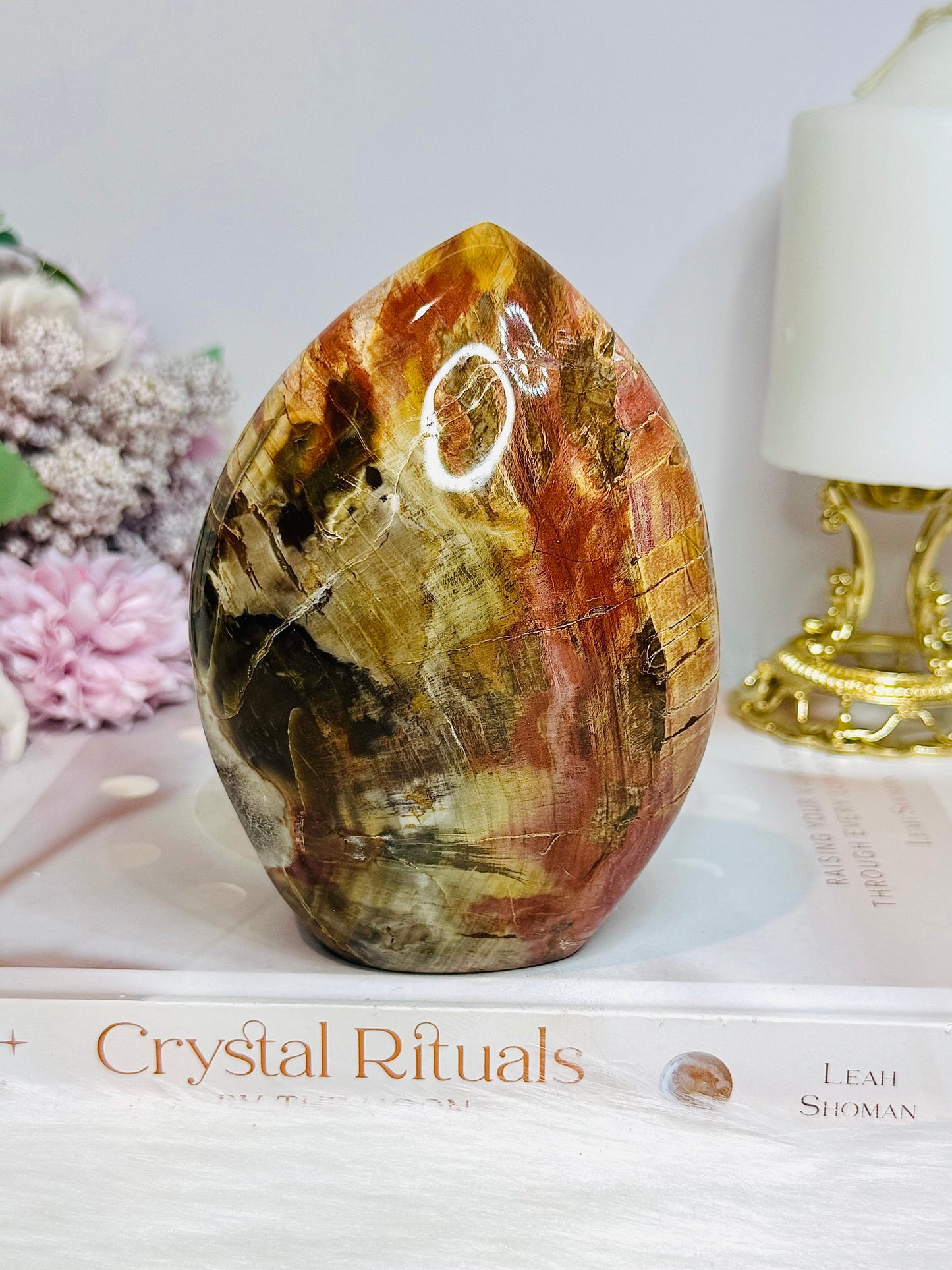 Large Petrified Wood Freeform 11.5cm 710g