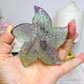 Fluorite Star Fish On Stand 9cm