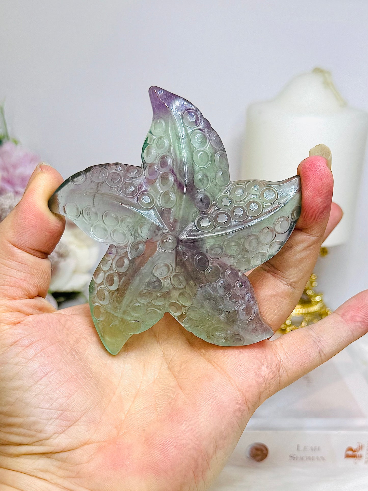 Fluorite Star Fish On Stand 9cm