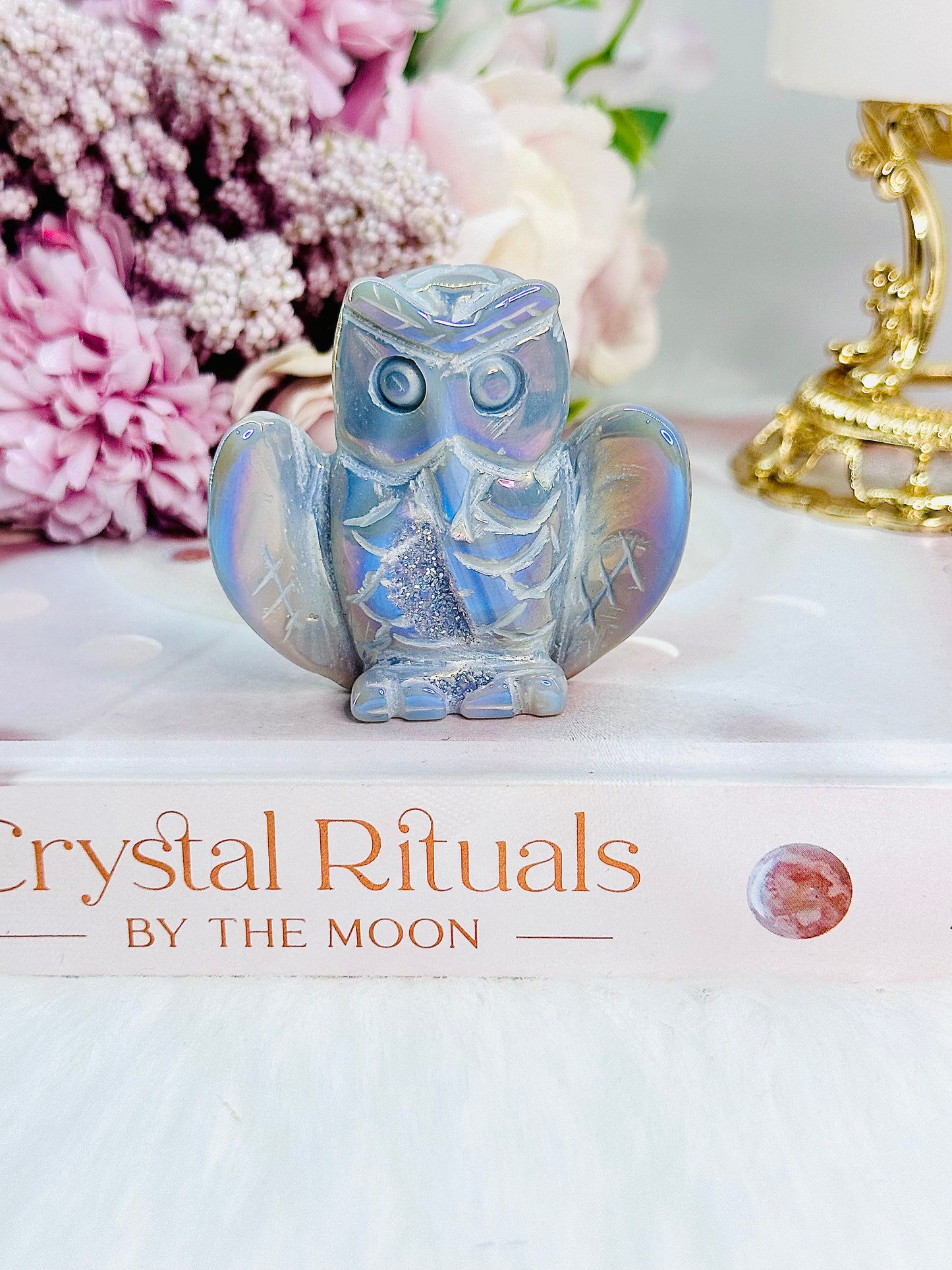 Stunning Angel Aura Agate Druzy Carved Owl