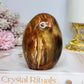 Petrified Wood Chunky Freeform 8.5cm