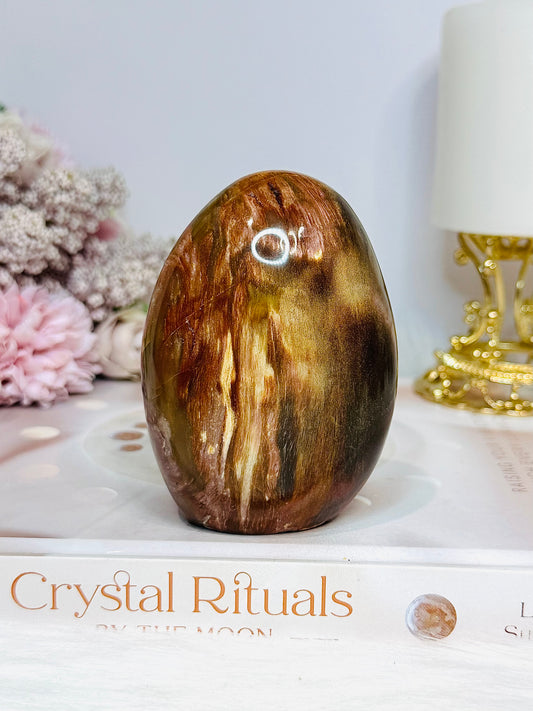 Petrified Wood Chunky Freeform 8.5cm