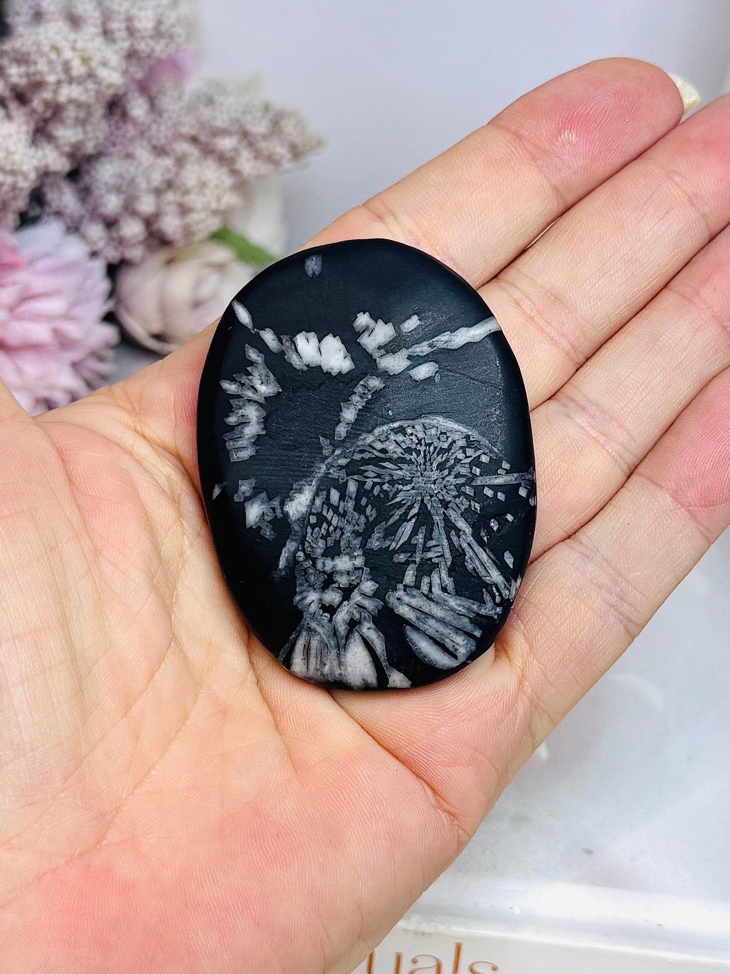 Natural Chrysanthemum Palm Stone