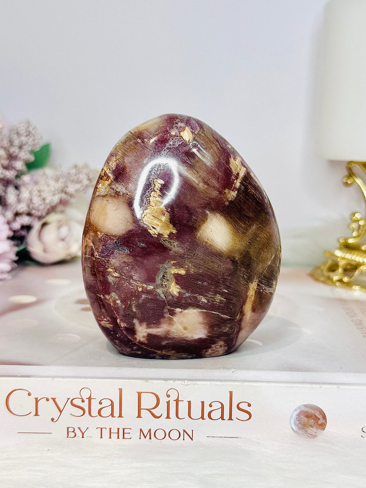 Petrified Wood Chunky Freeform 379g