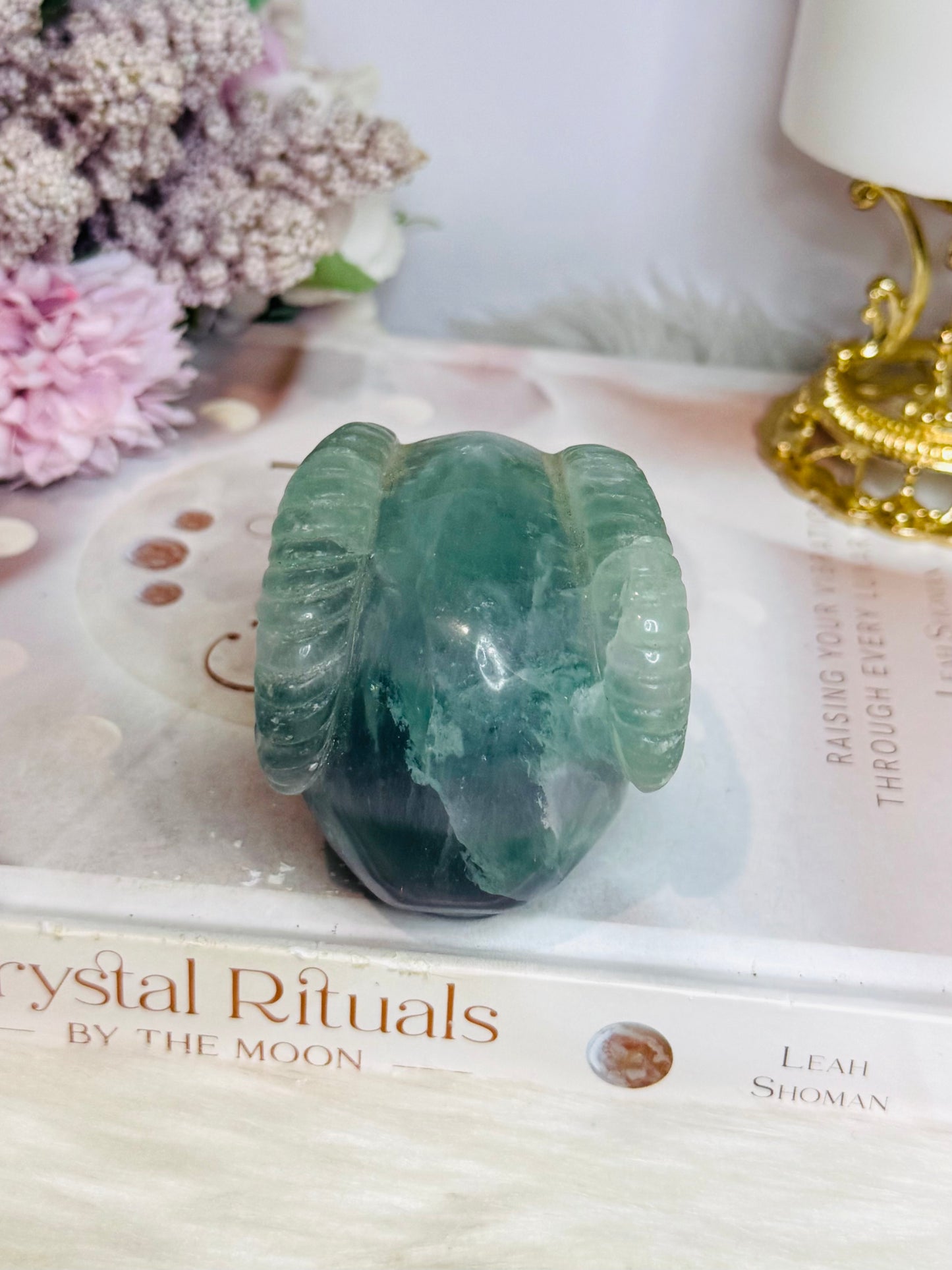 Fluorite Skull with Ram Horns 7.5cm 415g